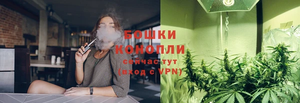 ешки Алексеевка