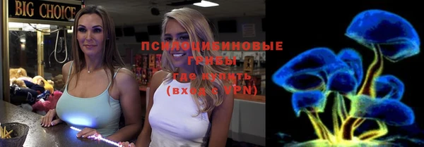 ешки Алексеевка